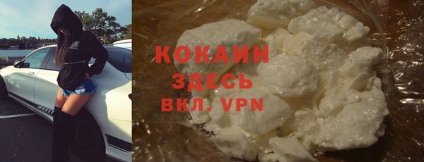 соль ск Каменногорск