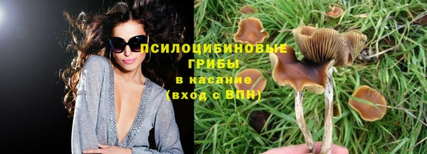 марки nbome Каменка