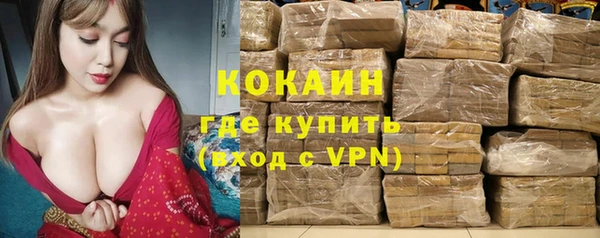 соль ск Каменногорск