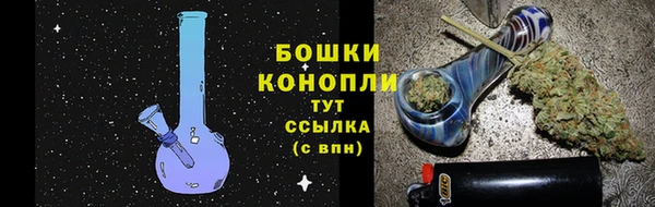 соль ск Каменногорск